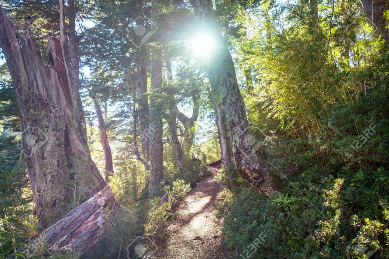 Foret Austral Ranomafana Exteriér fotografie